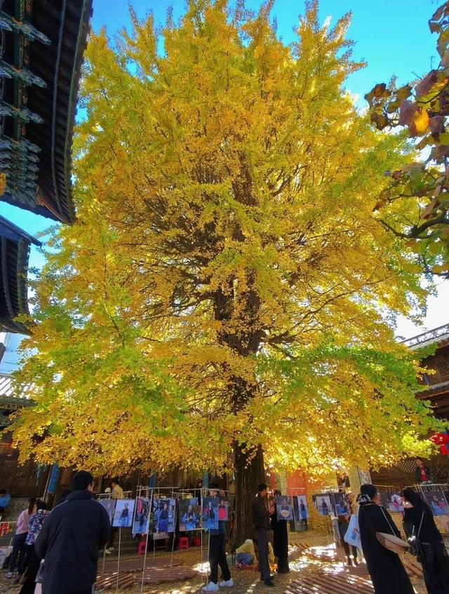 看，此刻的大理！