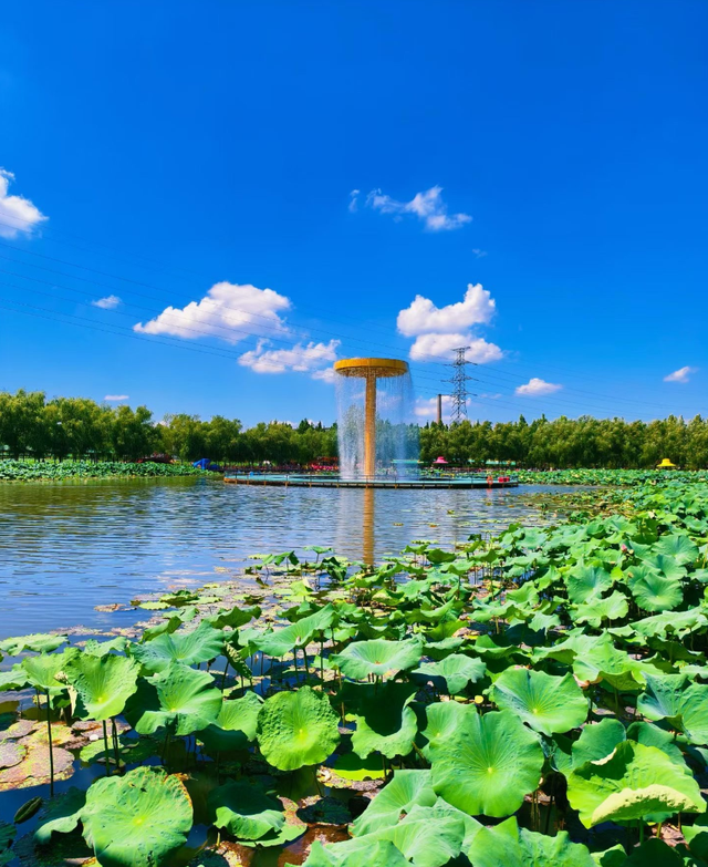 在河南农村，他们自建起一个3A级景区