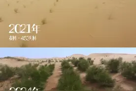 蚂蚁集团公布种树8年成果：协议捐资超40亿  累计种树5.48亿棵图片