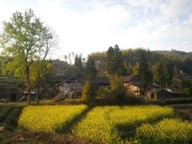 福鼎这里藏着一座“四季画廊”……