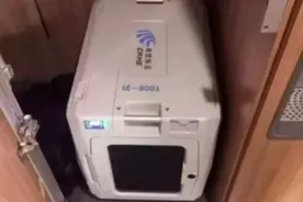 中铁快运回应“宠物上高铁”托运收费标准：已包含多项费用，将进一步提升服务水平图片