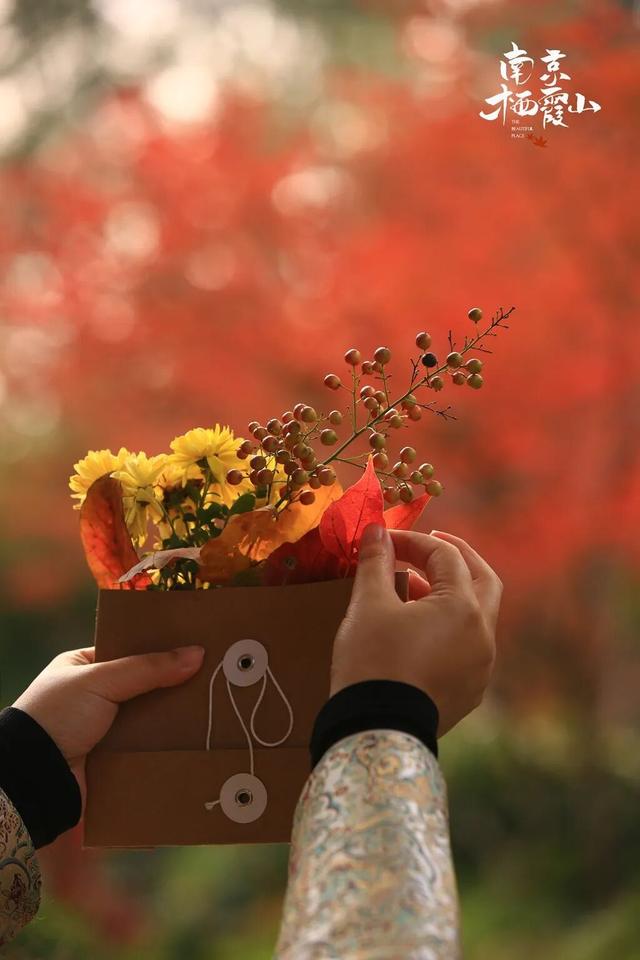 周末，去“捡秋”！