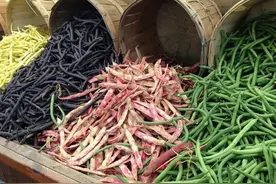 山东人最想骂“滚”的东西，它排第一图片