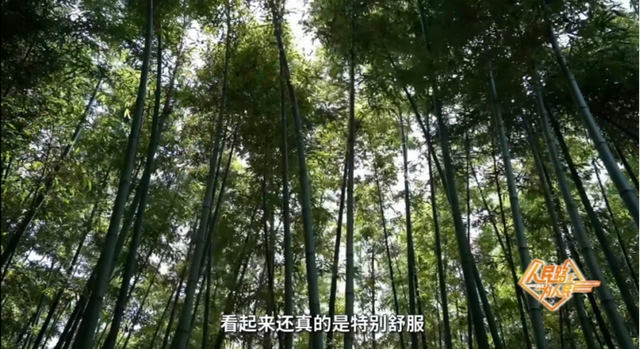 上海市中心又一公园拆除围墙！内藏明城墙和宝藏机位！怎么还有个“灶披间”？