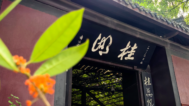 V5！！！新都↔彭州，切换就是这么丝滑~