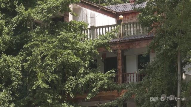 跨省“候鸟”栖居黔山，扇动百亿清凉经济