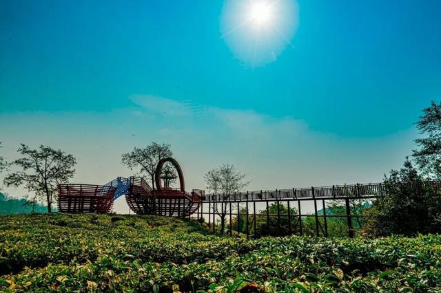 畅游大理开放式景区丨这几个地方不容错过