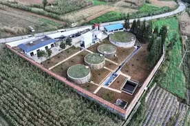 抗旱保丰收，他们这样筑牢粮食安全“压舱石”图片