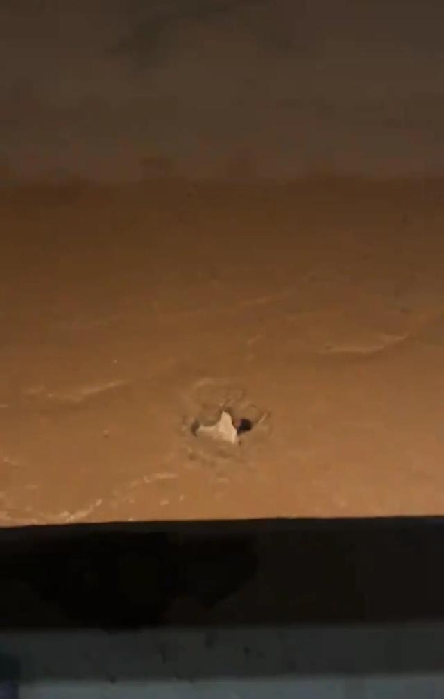 男子从温州一大桥跳下，没想到正值退潮江中无水，身体陷入淤泥中无法脱身