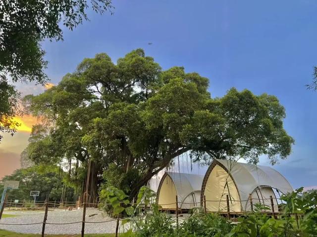 解锁「西南露营地图」！现在就出发！