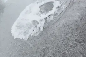 马路上的井盖疯狂“跳舞”！真相查明↗暴雨天特别要注意图片