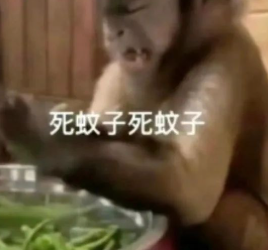 蚊子到底可不可以彻底消灭掉