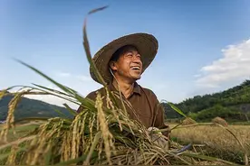 进入高发期！走在田间地头，可要当心这些“小毒物”图片