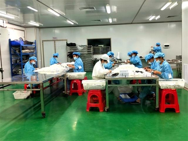 “桥头堡”倾听大湾区潮声