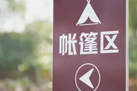 “春天在哪里呀，春天在哪里” 🦆春天原来在这里！图片