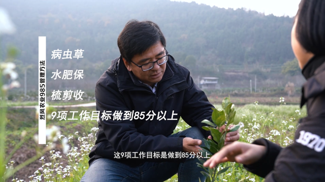 遇见西充，更遇见你！《慕・遇西充》公众号正式上线