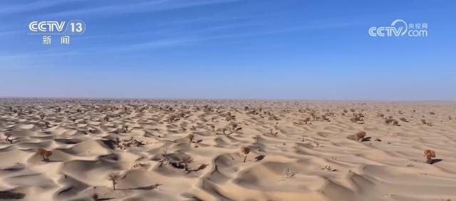 各地解锁秋冬限定美景 一键Get冬日出游新场景新玩法