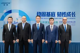 “核心资产一个没动”，龙湖进入债务切换关键年图片