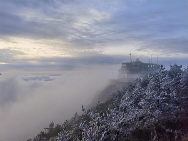 闽冬绝色，一场流动的盛宴🌺🌸❄️