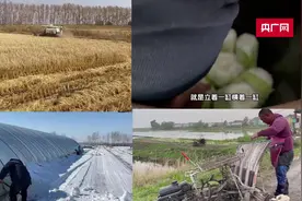 网聚正能量|肇东“农民王小”：传递乡情觅乡亲图片