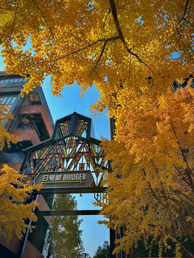 "全上海人都来了吧…"今天这条路什么情况？大堵车！还有30万人抢破头↗