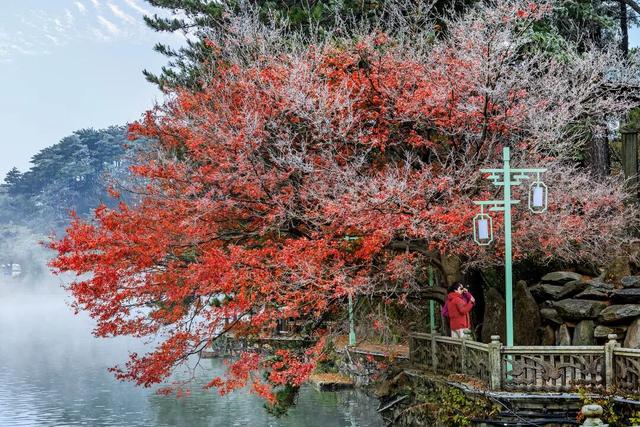 追逐秋色三千里：从北疆到徽州