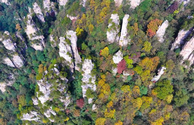 湖南张家界：色彩斑斓天子山