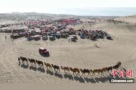 600余名赛车手齐聚新疆博斯腾湖畔沙漠越野“争霸”图片