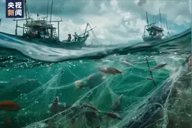 长江十年禁渔 你了解多少？图片