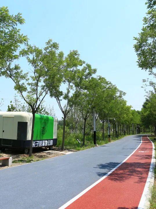 邂逅初冬，大兴6条宝藏慢跑路线请收好