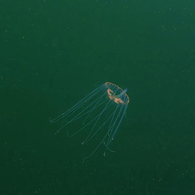 成立70周年！今天，用50图带你走进魅力瑶山