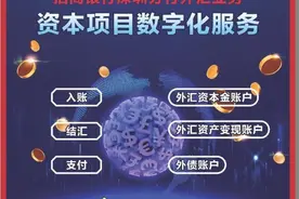 招商银行深圳分行打造跨境金融品牌 为湾区金融高质量发展注入强劲动能图片