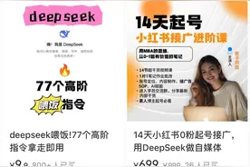 DeepSeek培训课程爆火 “割韭菜”还是真干货？图片