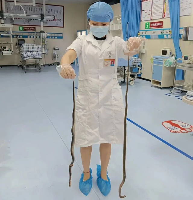 广东62岁阿叔“提蛇看病”惊呆医生