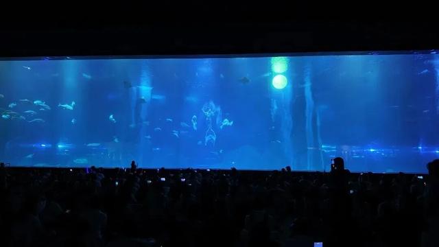 马洋溪各景区景点“人气爆棚”！
