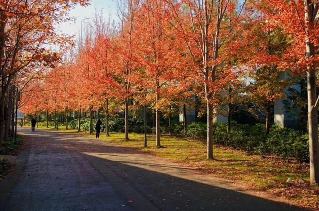 秋冬限定的普陀，美到让人流连忘返，你还不来打卡吗？