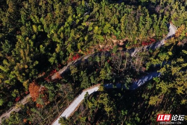 怀化中坡山，层林尽染的氧吧，市民天天逛、摄影家追着拍