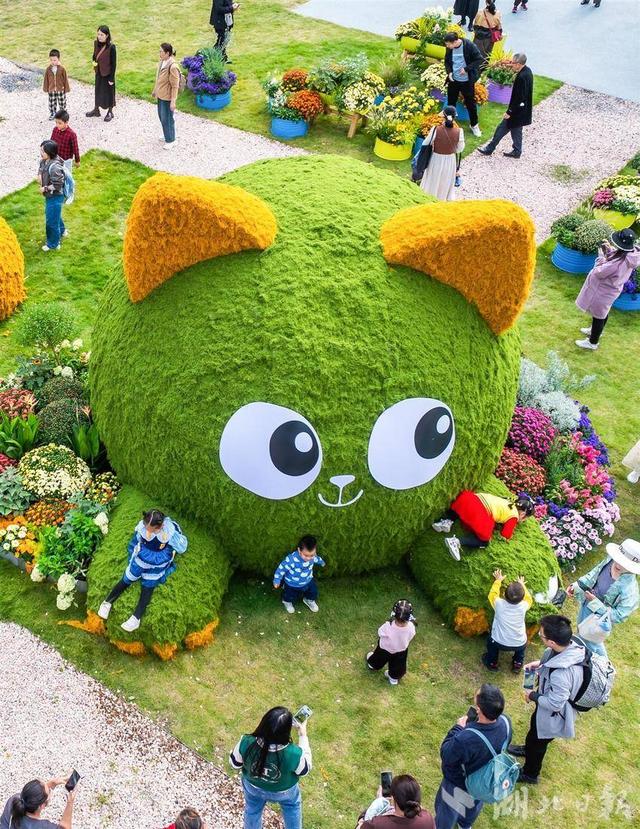 现场火爆！武汉今秋最大花展开幕