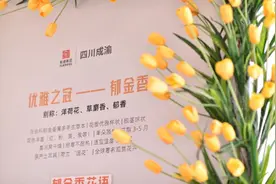 “歇脚点”变“目的地”，四川高速公路服务区花式耍“五一”图片