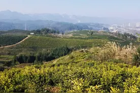 【生态保护】贵州新增治理水土流失面积3295平方公里 水土保持率达74.83%图片