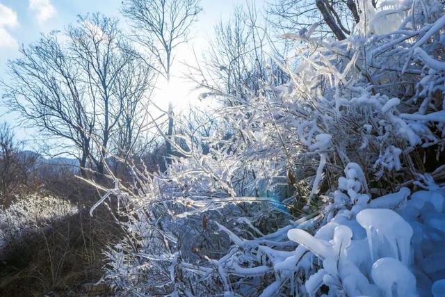绝美！北京“蓝调”冰瀑奇观，惊艳亮相 | 周末京郊微度假