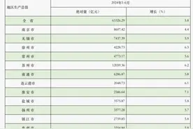 江苏十三市经济半年报出炉：苏州总量领跑全省，宿迁增速最亮眼图片
