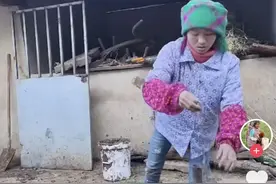 网红小英“塌房”风波背后：2天掉近10万粉，曾被赞“花两年时间实现逆袭”图片