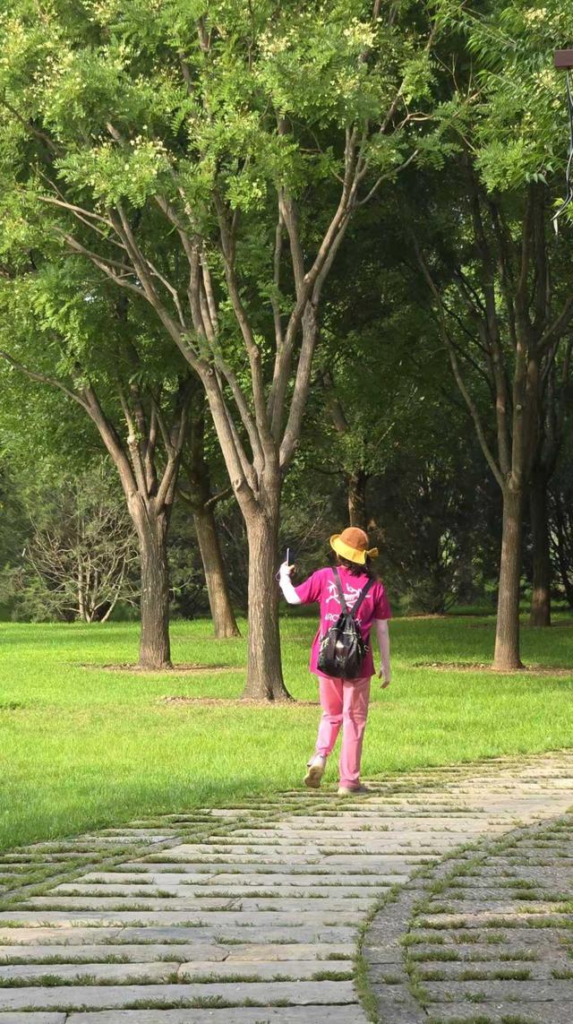 花影摇曳，树影婆娑，通州千年守望林晨景优美