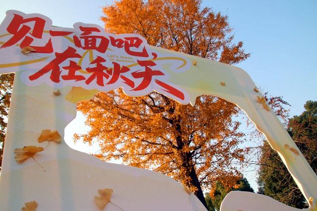 江苏苏州：桐泾公园斑斓冬景引客来