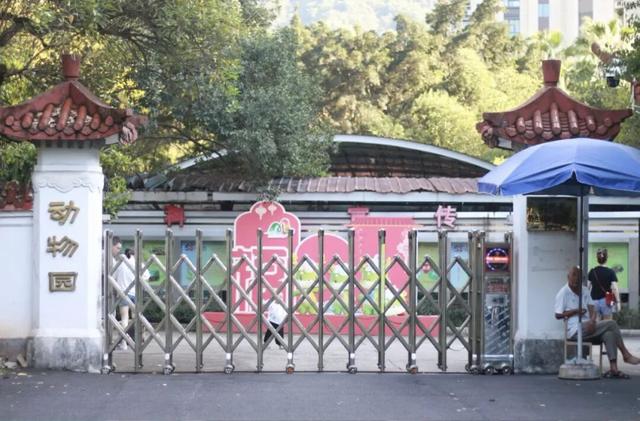 三明文旅福利来啦！《疯狂动物城2》联名公仔免费抽，手慢无！