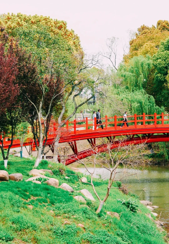 秦淮周末去哪儿玩丨地铁游秦淮——五号线篇，来了！