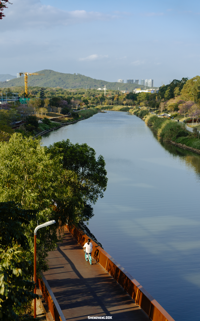 “看牛看海看夜景，深圳骑行路线精选”