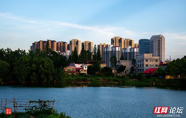 暮染安乡：松滋河上，流光与飞鸟的共舞