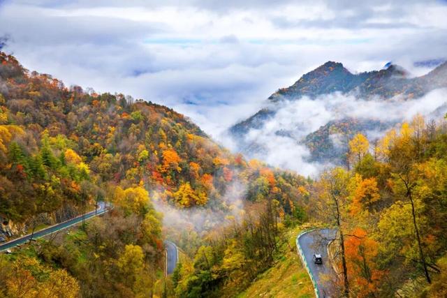 重庆秋色“天花板”火了！最快1小时飚拢！